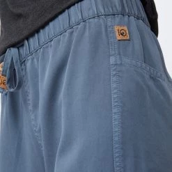 Tentree Women Colwood Jogger