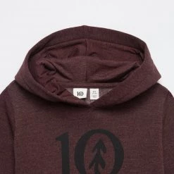 Tentree Kids Ten Hoodie