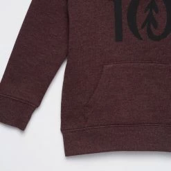 Tentree Kids Ten Hoodie