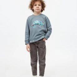 Tentree Kids National Geographic Chameleon Crew Neck
