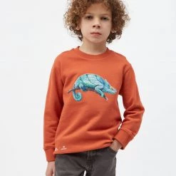 Tentree Kids National Geographic Chameleon Crew Neck