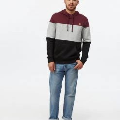 Tentree TreeFleece Blocked Reynard Hoodie