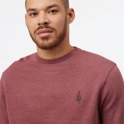 Tentree TreeFleece Golden Spruce LS Crew