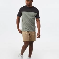 Tentree Organic Cotton Blocked Relaxed T-Shirt Men