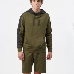 Tentree French Terry Reynard Colour Blocked Hoodie Men