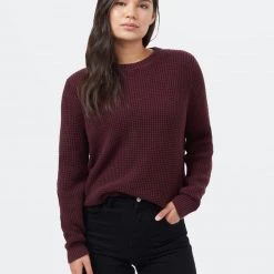 Tentree Highline Cotton Crew Sweater Women