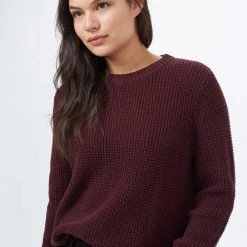 Tentree Highline Cotton Crew Sweater Women