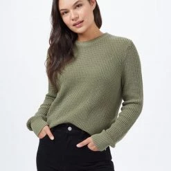 Tentree Highline Cotton Crew Sweater Women