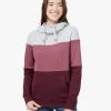 Tentree Blocked Banshee Hoodie Women