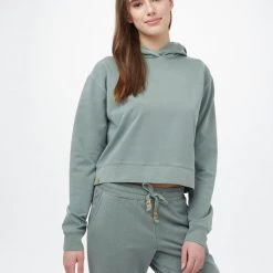Tentree French Terry Crop Hoodie