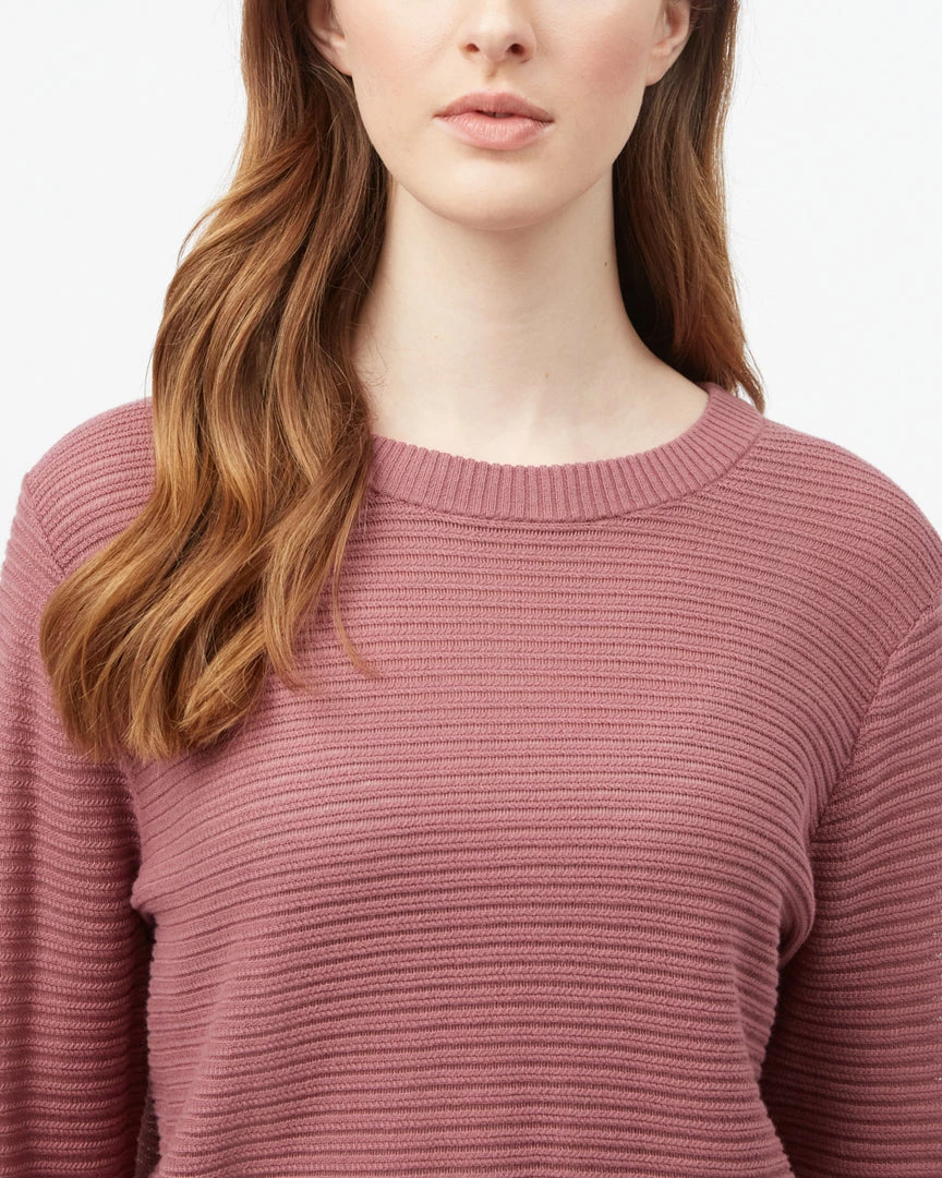 Tentree Highline Cotton Rib Crew Sweater Women 18 Tentree Highline Cotton Rib Crew Sweater Women