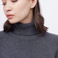 Tentree Women Highline Turtleneck Dress