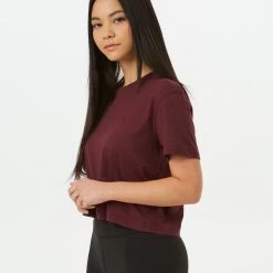 Tentree Women Cropped Relaxed T-Shirt