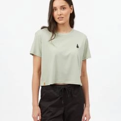 Tentree Golden Spruce Crop T-Shirt Women