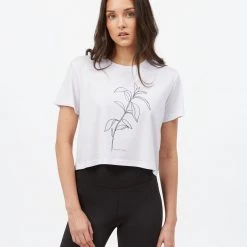 Tentree Women Sugar Leaf Cropped T-Shirt