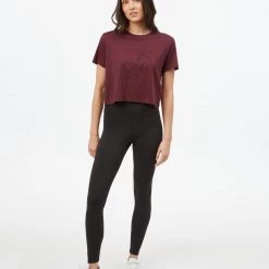 Tentree Women Sugar Leaf Cropped T-Shirt