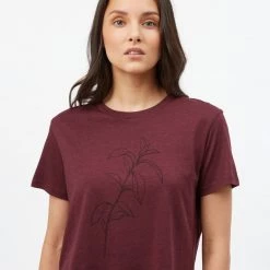 Tentree Women Sugar Leaf Cropped T-Shirt