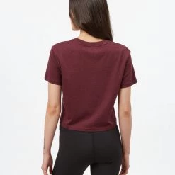 Tentree Women Sugar Leaf Cropped T-Shirt