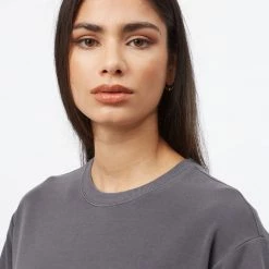 Tentree French Terry SS Dress Women