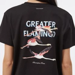 Tentree National Geographic Greater Flamingo T-Shirt Women